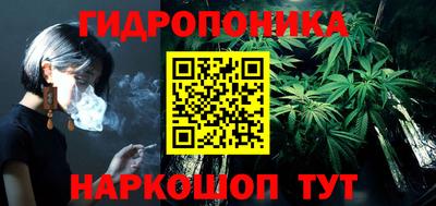 прущие крисы Партизанск