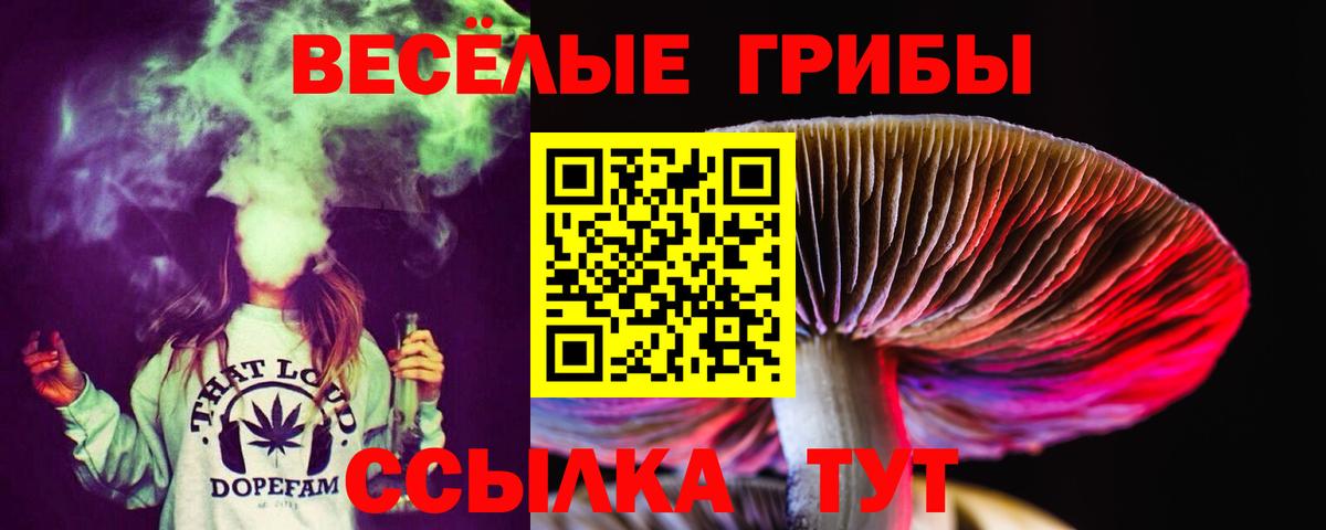 Псилоцибиновые грибы Psilocybe  Вход с VPN  Ростов Великий 